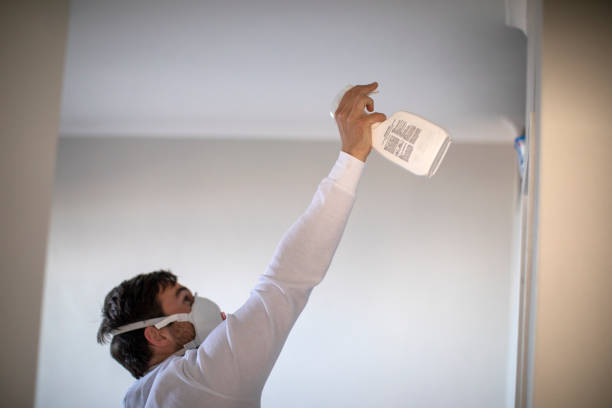 Best Residential Mold Remediation in West Ishpeng, MI